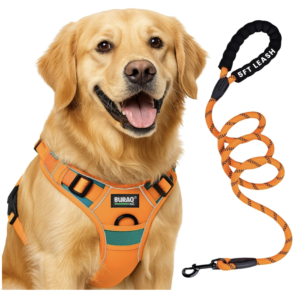 Pets Premium Dog Harness with Leash | Reflective | No Pull Adjustable with Miles Logo