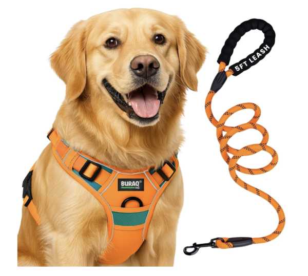 Pets Premium Dog Harness with Leash | Reflective | No Pull Adjustable with Miles Logo