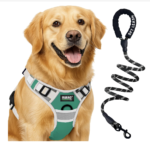 Pets Premium Dog Harness with Leash | Reflective | No Pull Adjustable with Miles Logo
